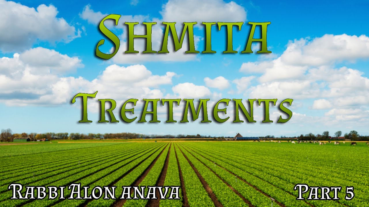 Shmita | Part 5 - Treatments and maintenance