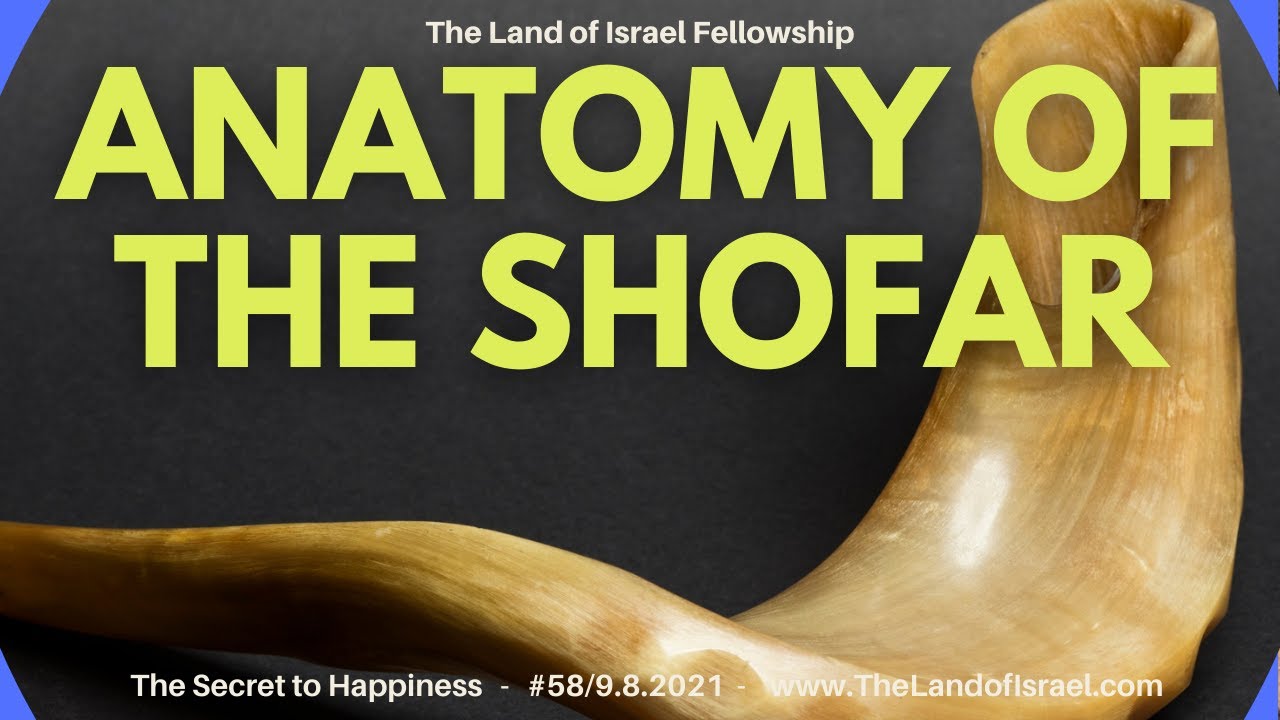 Anatomy of the Shofar - Ari Abramowitz: The Land of Israel Fellowship
