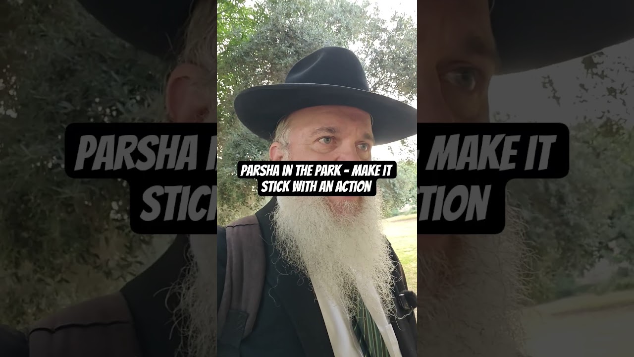 Parsha in the Park - Make it stick with an Action