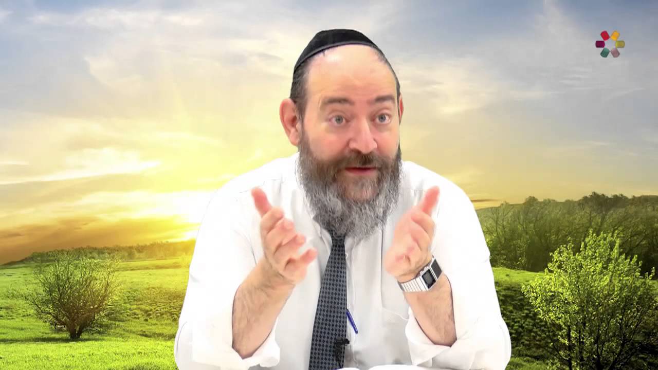 Rabbi David Kaplan - Weekly Torah Portion: Mikeitz - Part 1