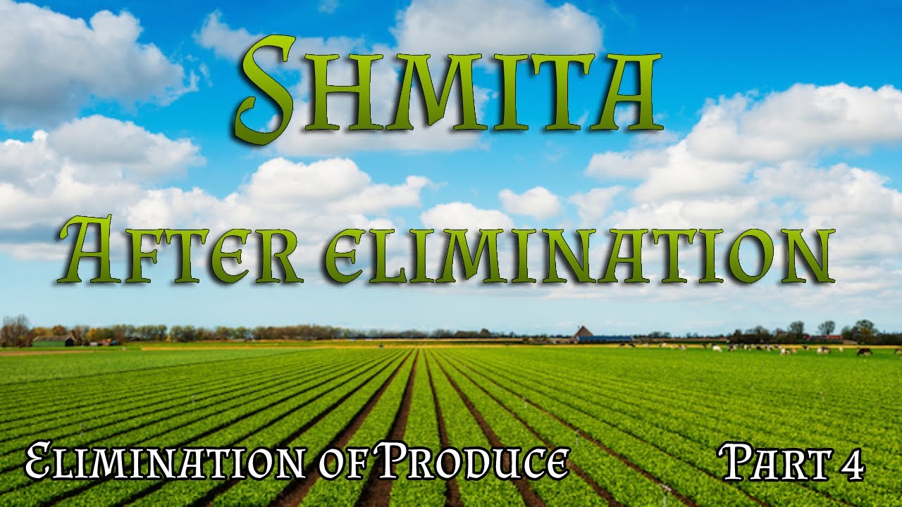 Elimination of Shmita produce | Part 4 - The status of the produce after elimination