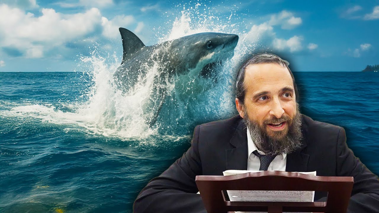 Shark Attack in Israel, How Did This Happen?