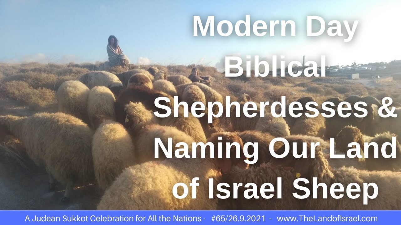 Modern Day Biblical Shepherdesses & Naming our Land of Israel Sheep: The Land of Israel Fellowship