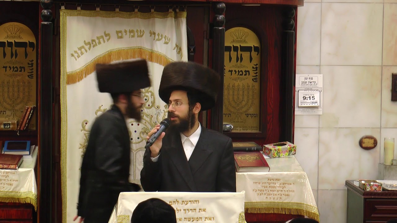 Historic Techeiles Event this Chol Hamoed in Beis Medrash Mateh Efrayim in Boro Park