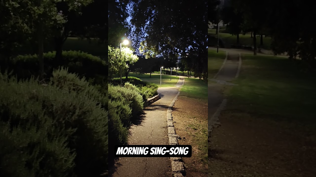Morning sing-song