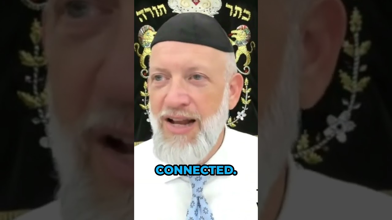 I'm on TEAM HASHEM!