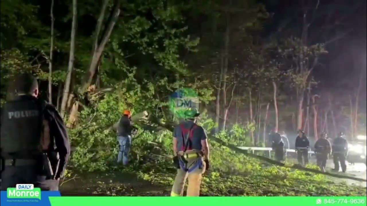 Tree down on the roadway on Route 208 near Peddler Hill Road.