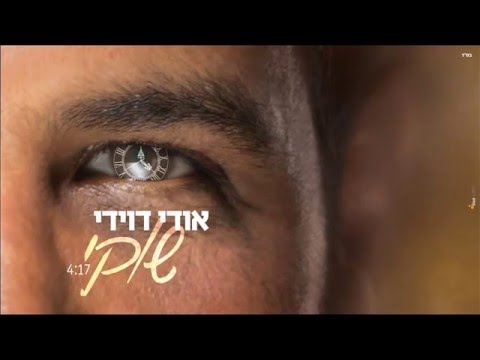 אודי דוידי - שוקי