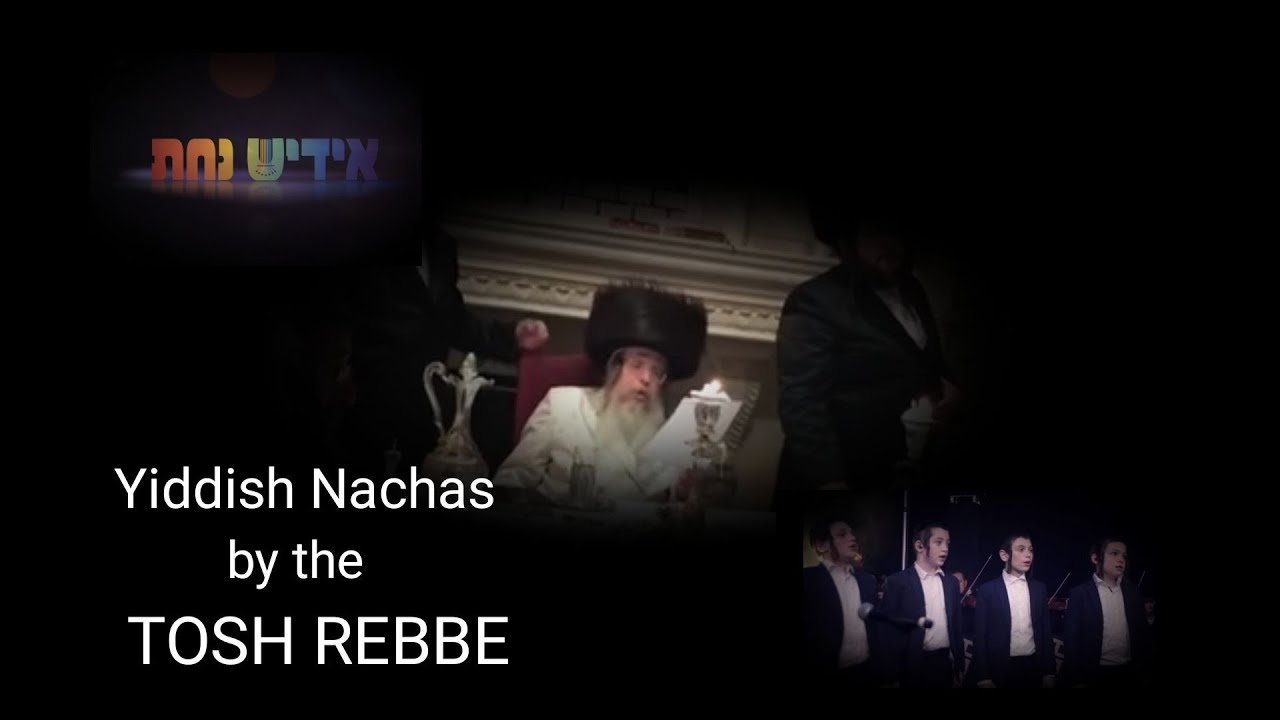 Yiddish Nachas performing by the TOSH REBBE