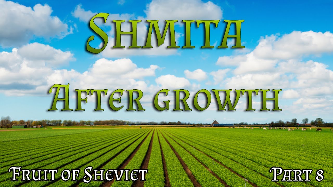 Shmita | Fruit & Vegetables of Sheviet - The prohibition of after-growth - Sefichim איסור ספיחים