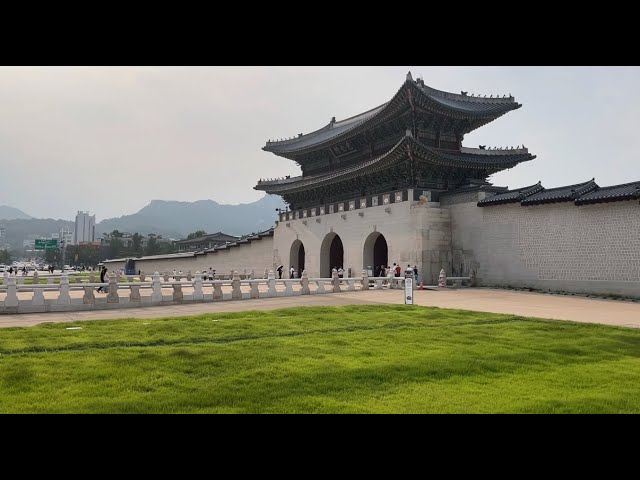 I'm In Korea And You're Not Gonna Believe What They Do Here- The World On Fire