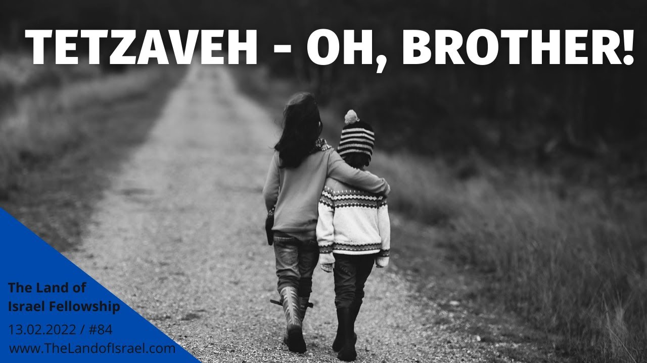 Tetzaveh - Oh, Brother! - Tehilah Gimpel: The Land of Israel Fellowship