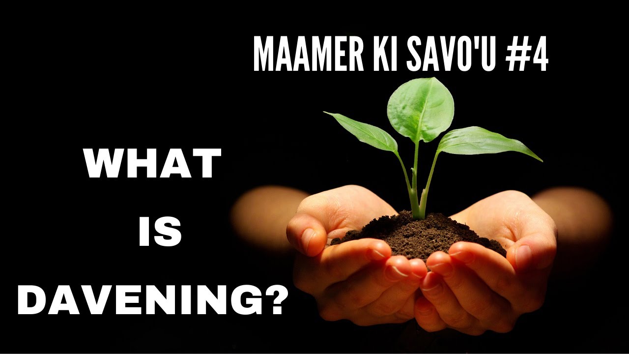 When the Seed Decomposes in the Earth, Its True Potential Can Emerge