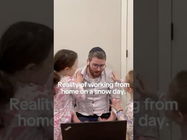 Reality of working from home on a snow day.