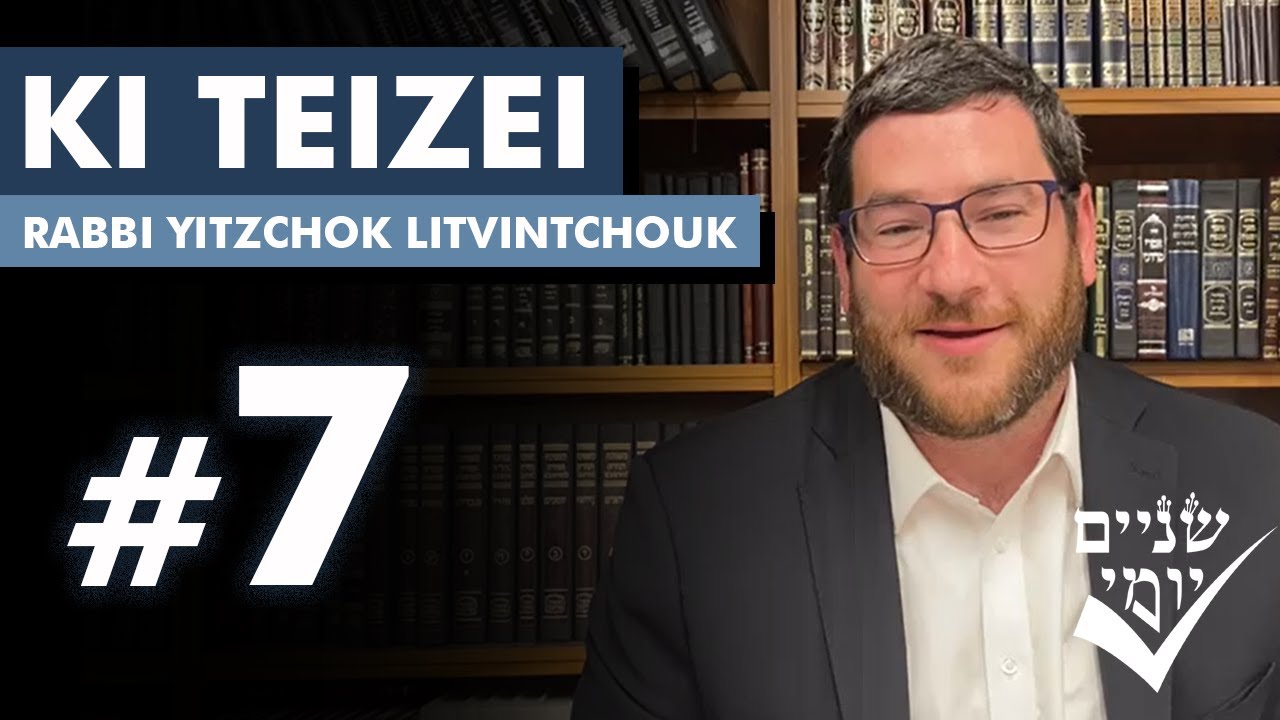 Shnayim Yomi - Ki Teizei - Sh'vi'i - #7 5784