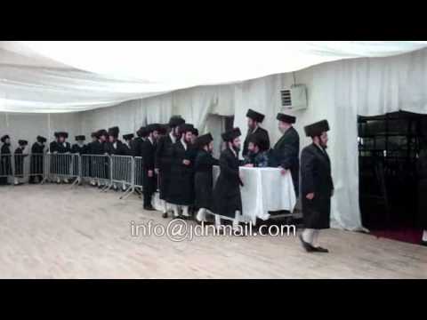 bobov wedding shevat 5771