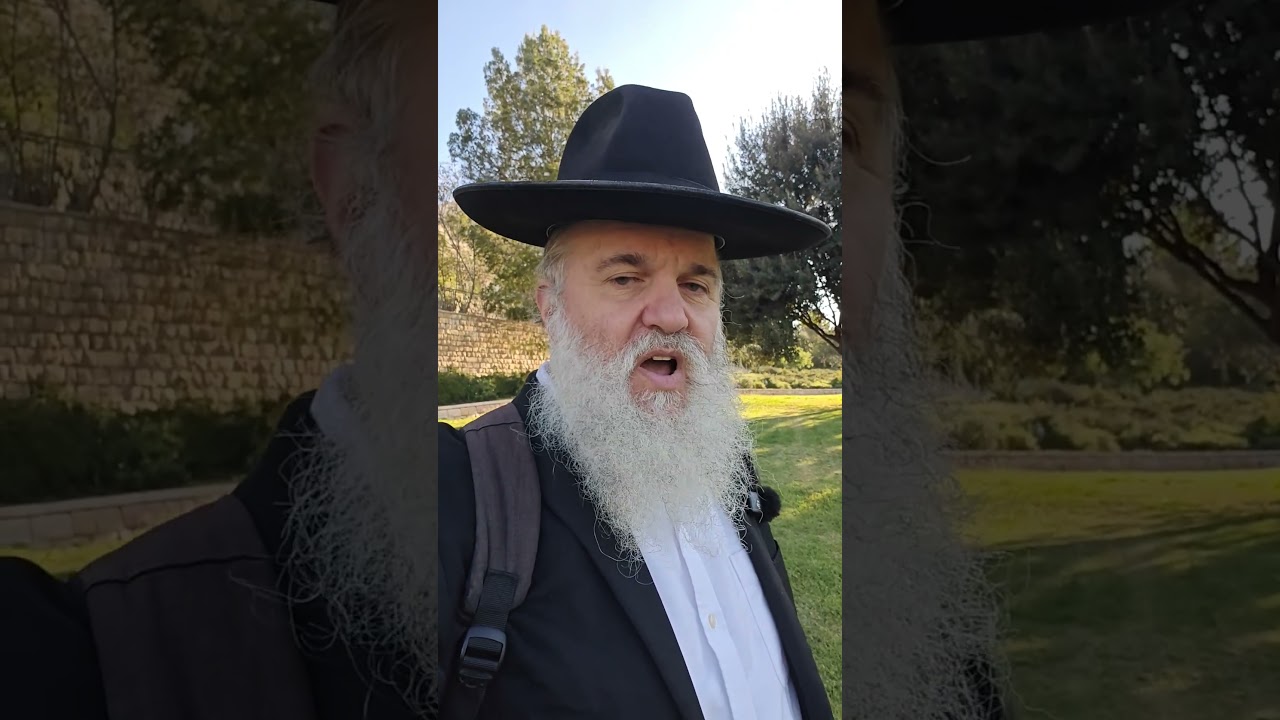 Parsha in the Park - Would drive to the Tabernacle?