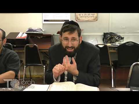 Shimshon's Struggles - The Story of Shimshon Haggibor Part 1, Shoftim Chapter 13