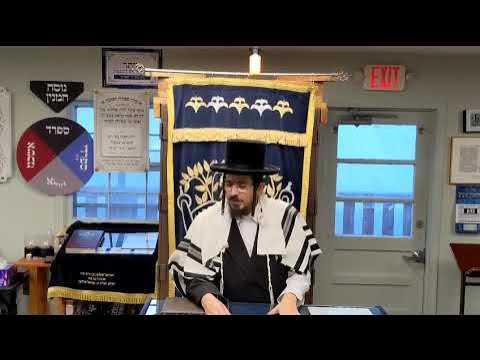 נגיעה אישית - Rav Benzion Sneh Yiddish Chizzuk at Scheiner's April 21