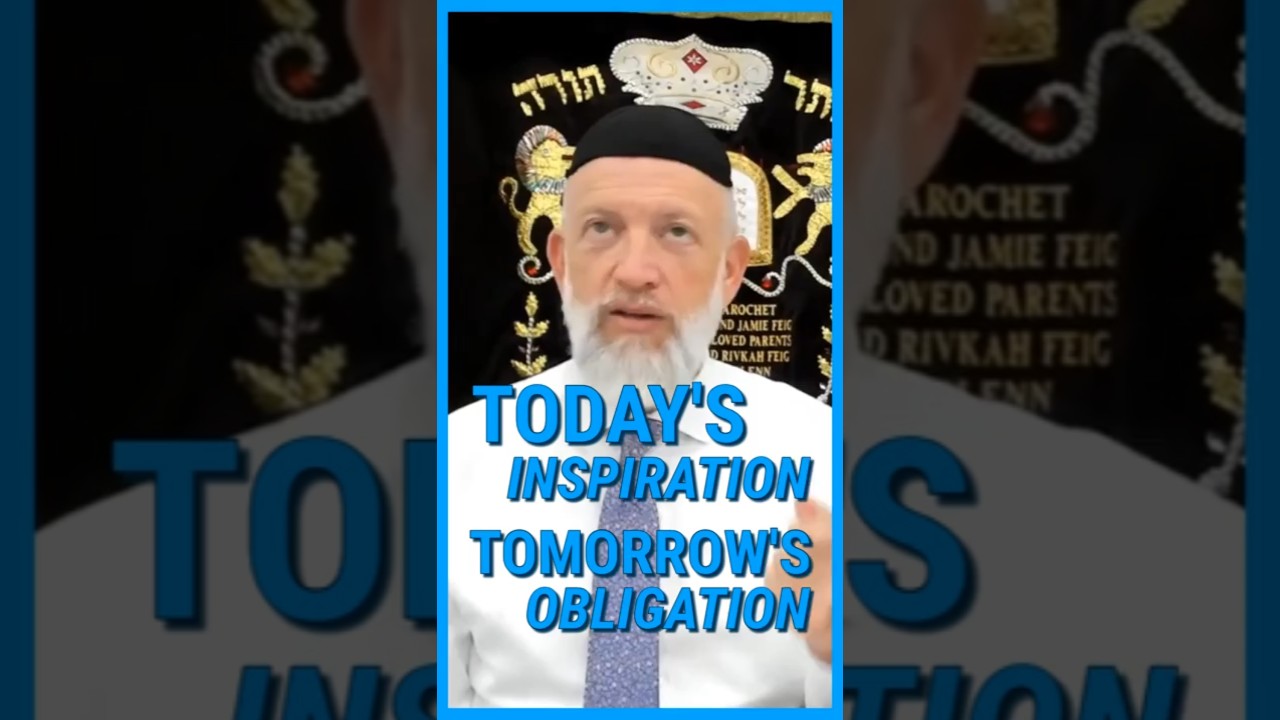 Today's inspiration... tomorrow's OBLIGATION