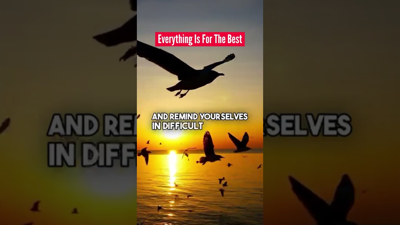 Everything Is For The Best