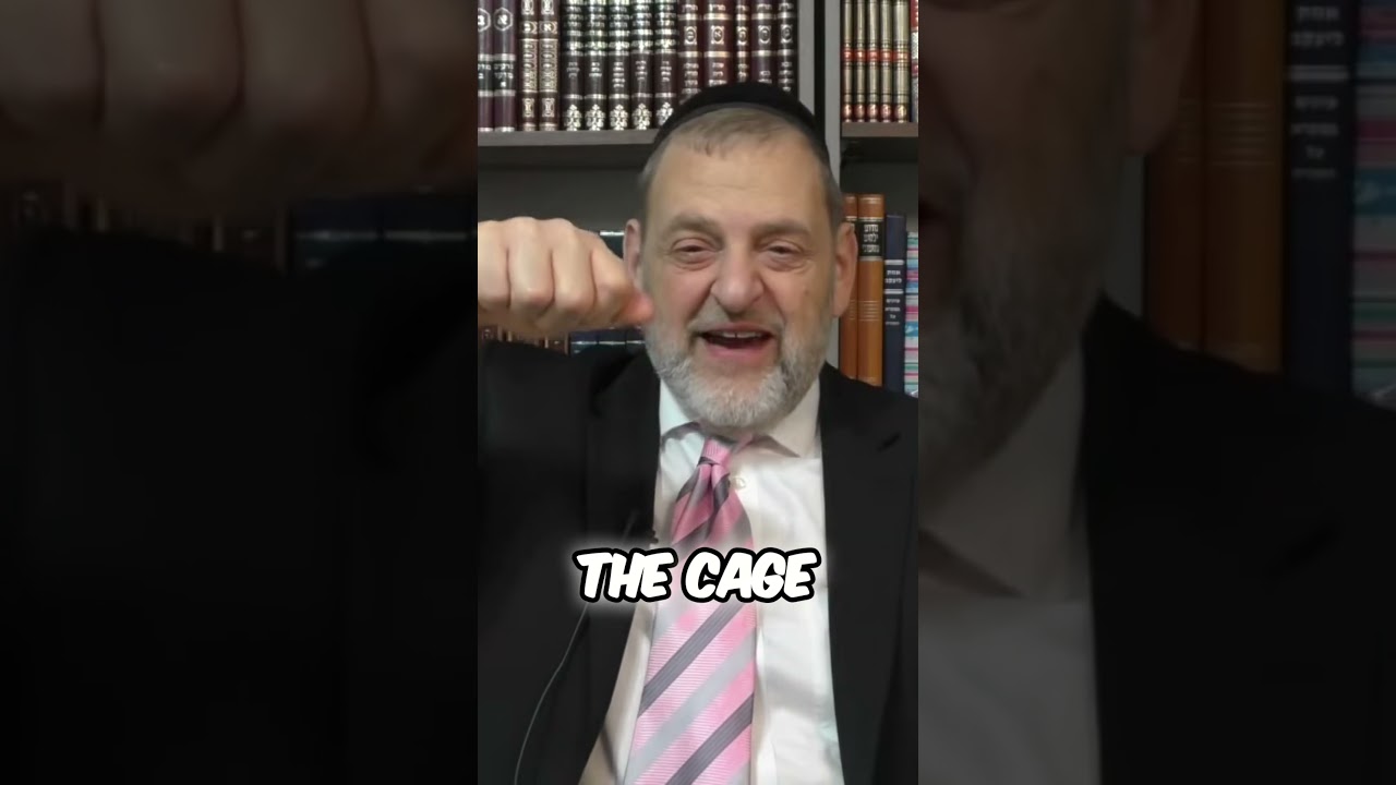Do I Stick to the Classics… or Go All New #rabbiorlofsky #humor #torah