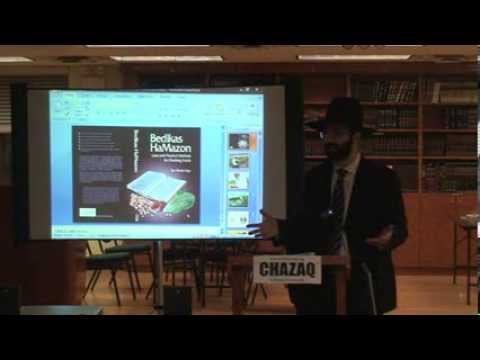 R' Natan Gadayev on Checking Vegetables / Bedekat Tolayim