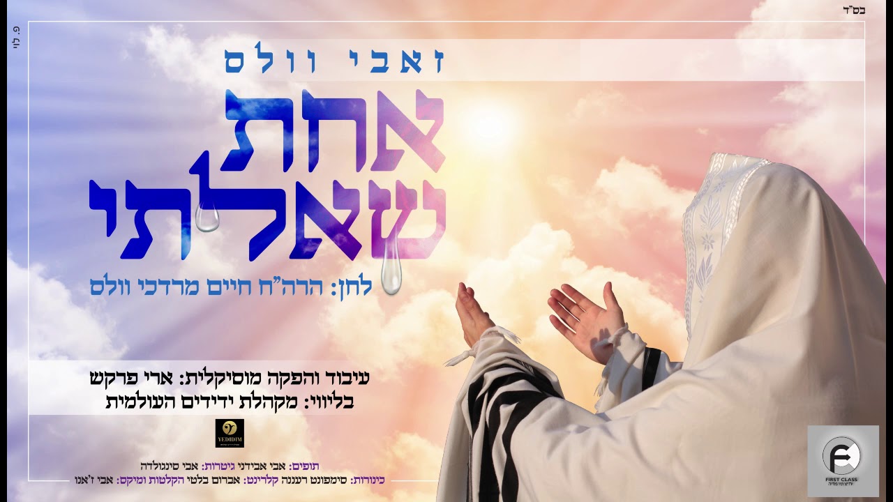 זאבי וולס - אחת שאלתי  | Zevi Walles - Achas Shoalti