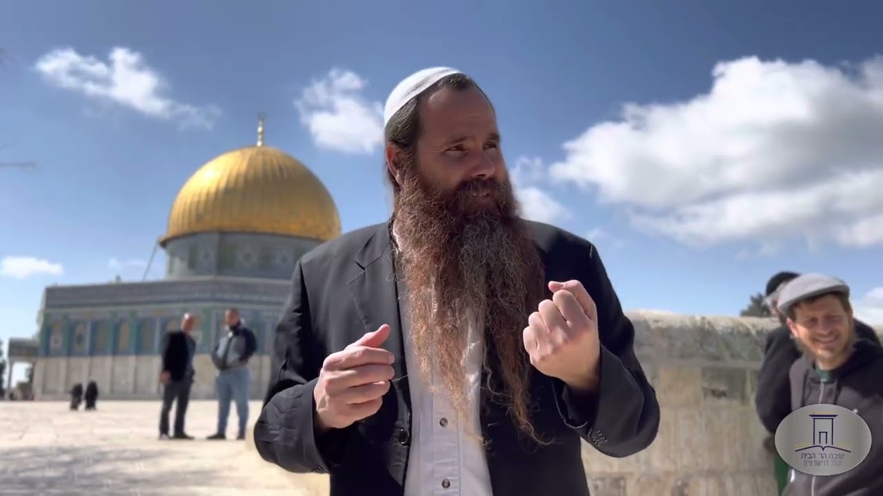 פרשת תזריע | רב אריה ליפו