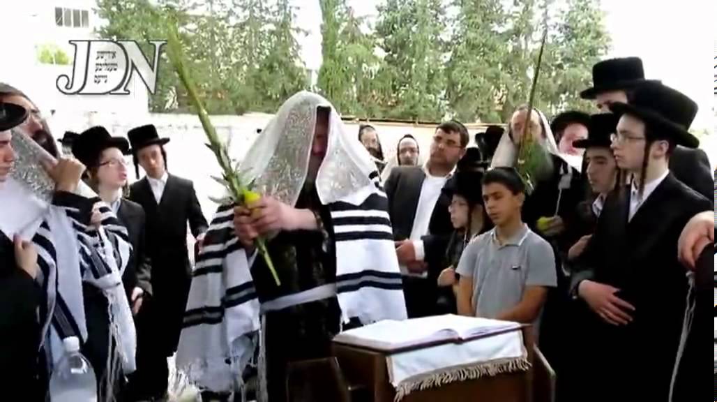Pittsburger Rebbe Shaking His Lulav - Sukkos 5774