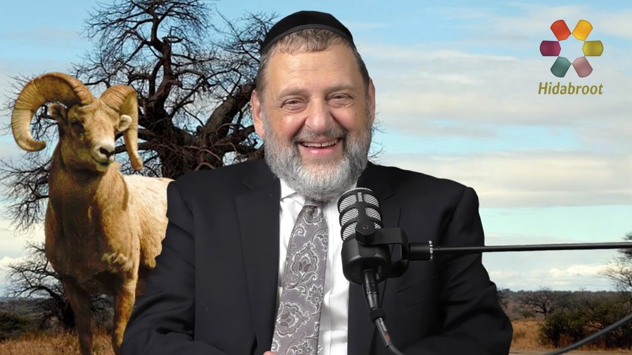 Vayera - Make The Sacrifice - Rabbi Dovid Orlofsky