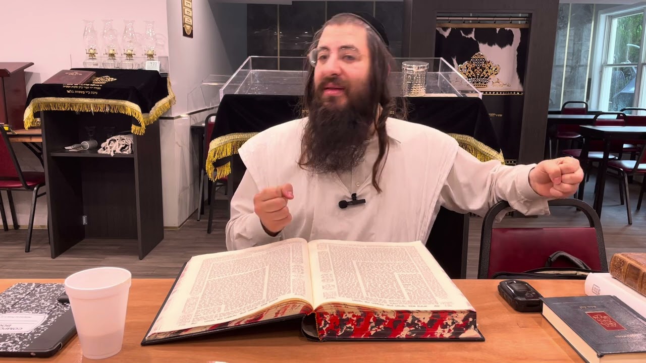 Bava Basra 79 Harav Chaim Ozer Geldzahler