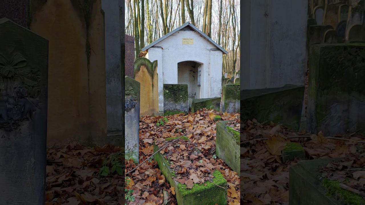 Warsaw Tour w R' Dalfin - Warsaw cemetery - Markisov near Lublin