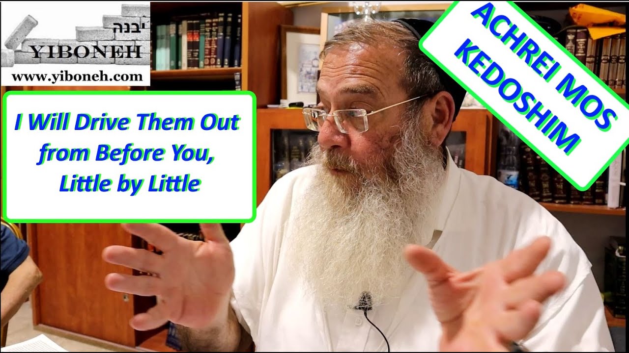 I Will Drive Them Out from Before You, Little by Little with Rabbi Aaron Dovid Poston