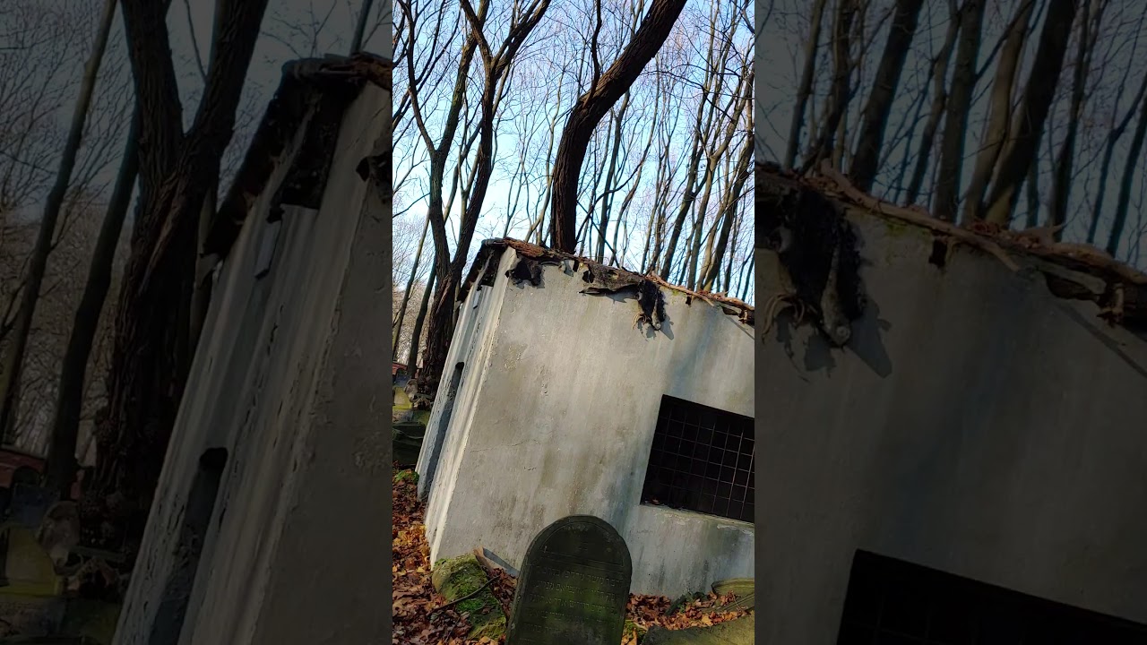 Warsaw Tour w R' Dalfin - Tzechenov ohel