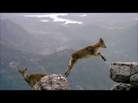 The Soul of Israel: Leap Over Mountains this Passover