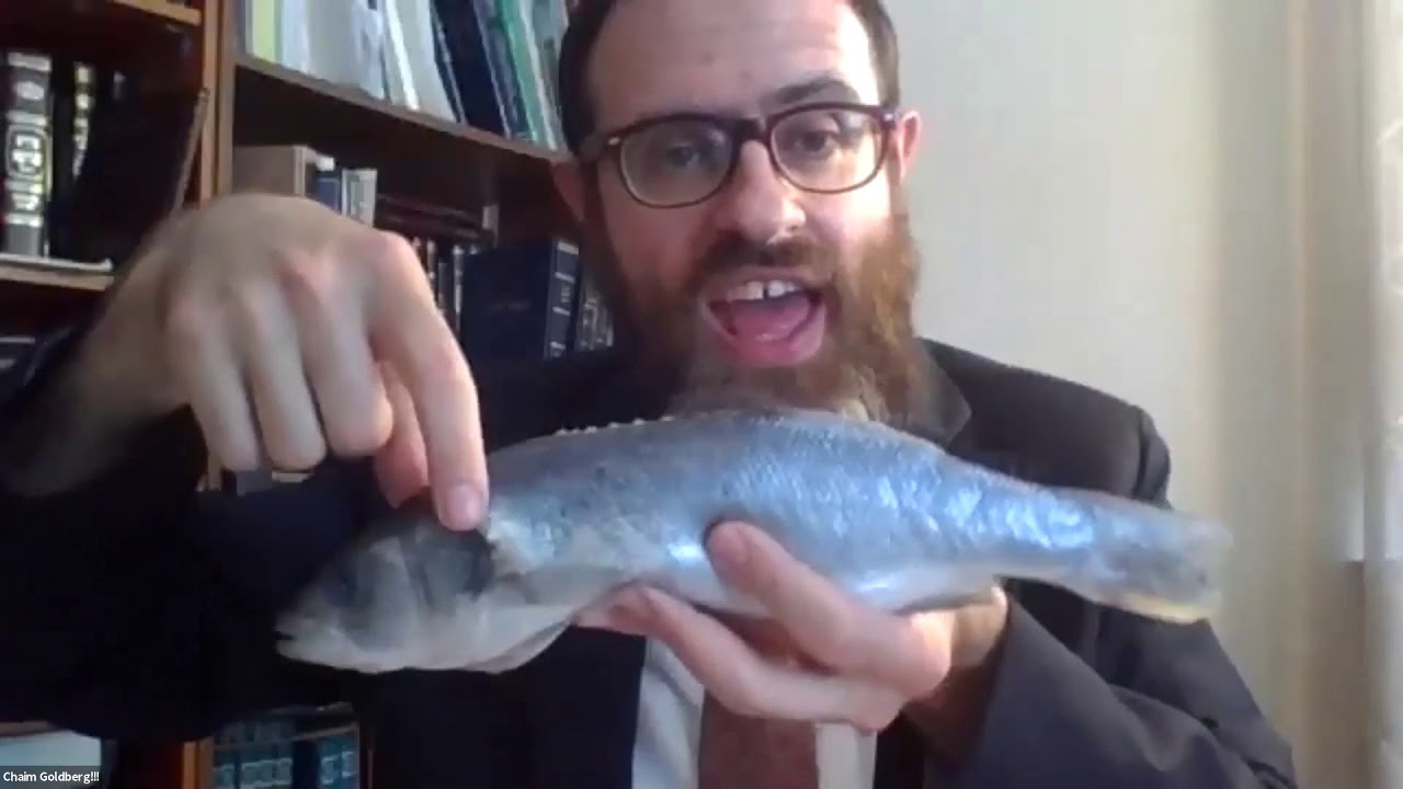 ASK OU/YU Seminar - 05. Nothing Fishy About This