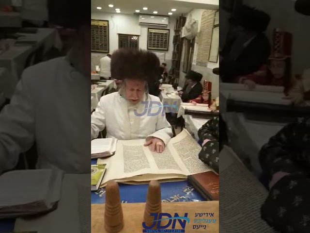 Stropkover Rebbe Leining Megilah Purim 5781
