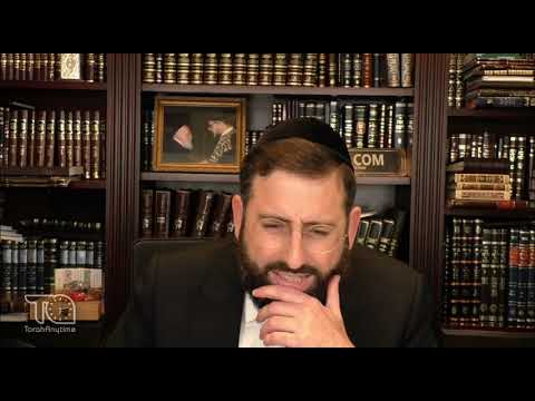 Rav Elchonon's Revolutionary Creation of 2 Dimensions of Shlichus - {DH Iyun Sugya Nedarim 35b}