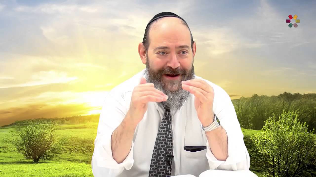 Rabbi David Kaplan - Weekly Torah Portion: Mikeitz - Part 2
