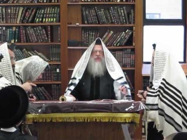 Admor M'Chernovitz Reading Megilah (book of esther) Purim 2013)