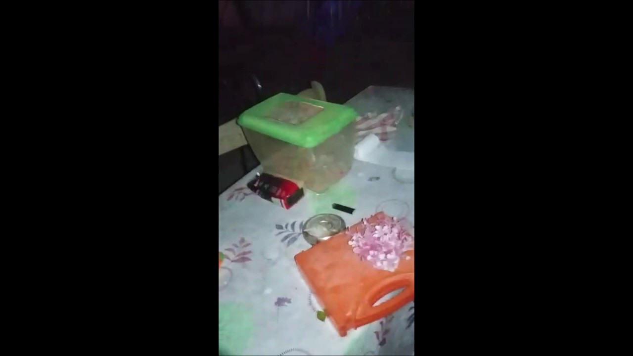 Rockets Fired From Sinai Intercepted Over EIlat
