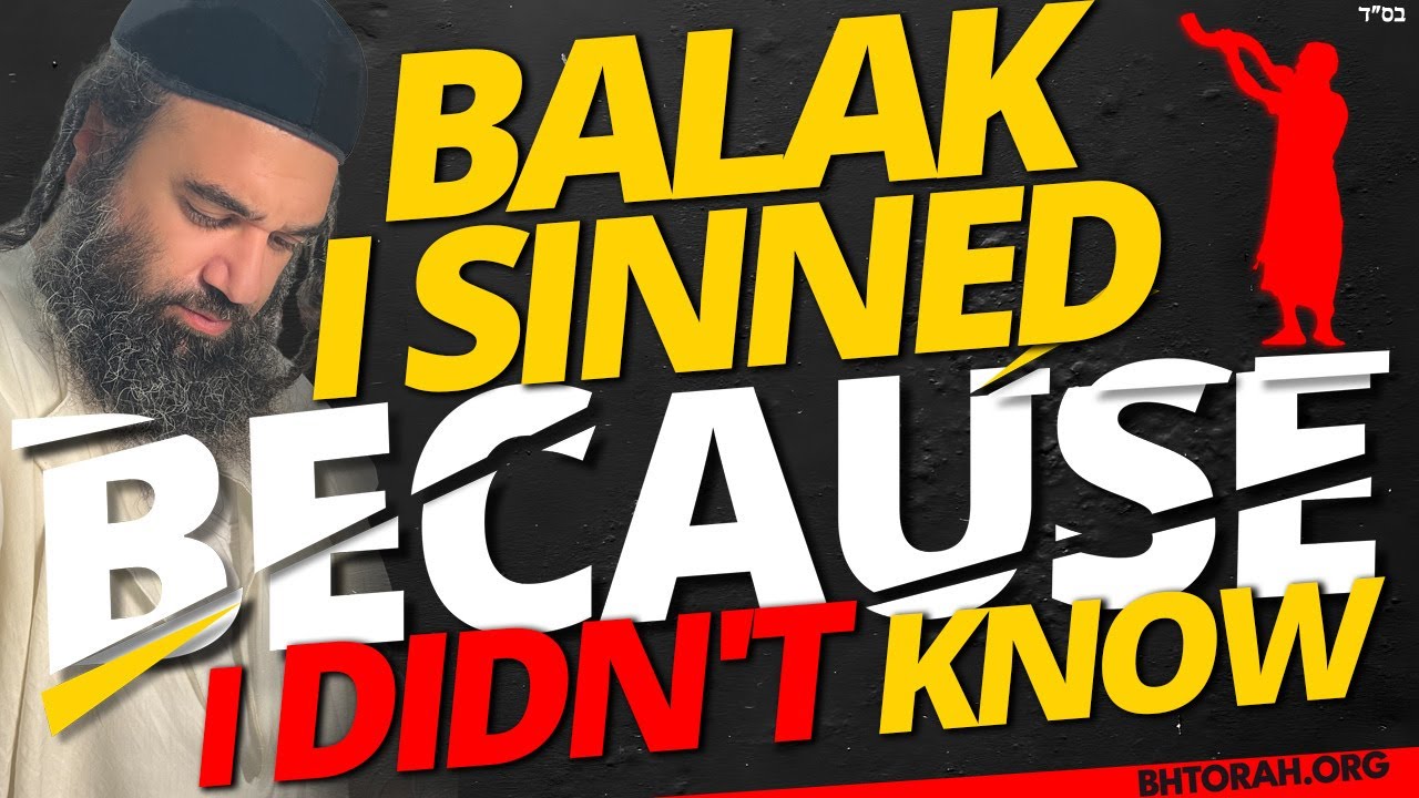 BALAK: I SINNED BECAUSE I DIDN'T KNOW - STUMP THE RABBI (209)