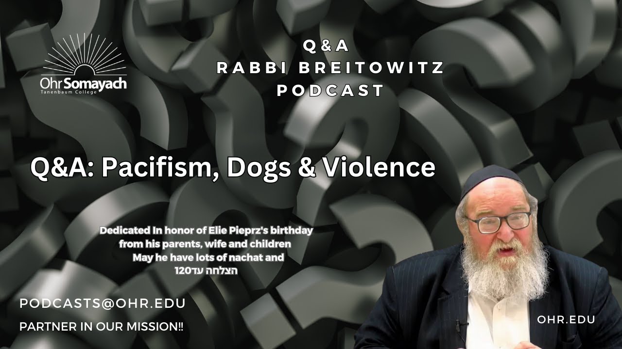 Q&A: Pacifism, Dogs & Violence (HaRav Yitzchak Breitowitz)