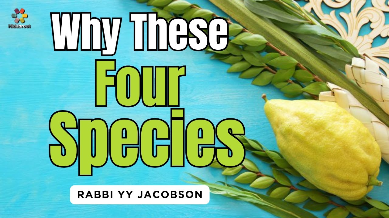 Why These Four Species? Rabbi YY Jacobson