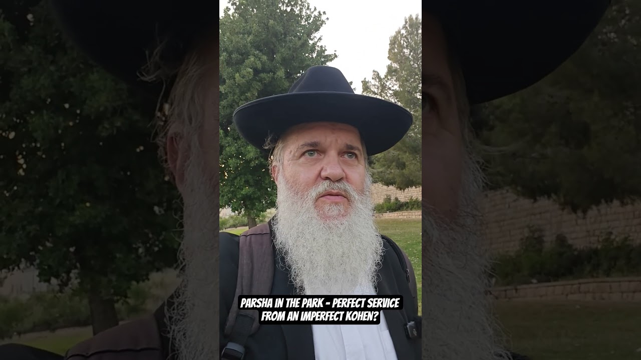 Parsha in the Park - Perfect service from an imperfect kohen?