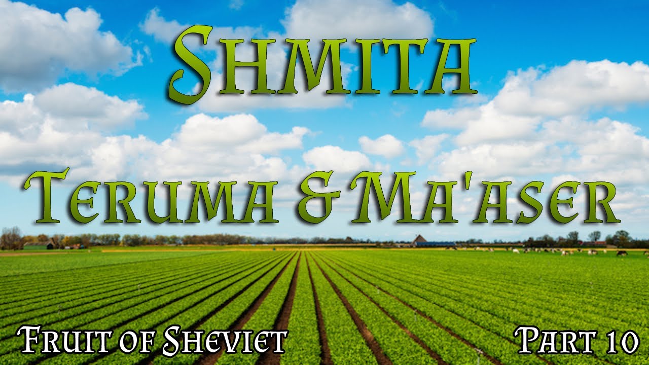 Shmita | Fruit & Vegetables of Sheviet - Do we still give Teruma and Ma'aser during Shmita?