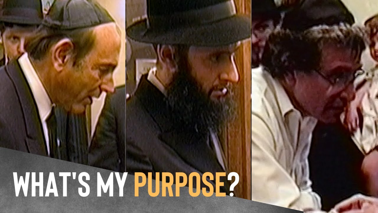 What is My Purpose? | 3 People Get The Answer To One Of Life's Toughest Questions