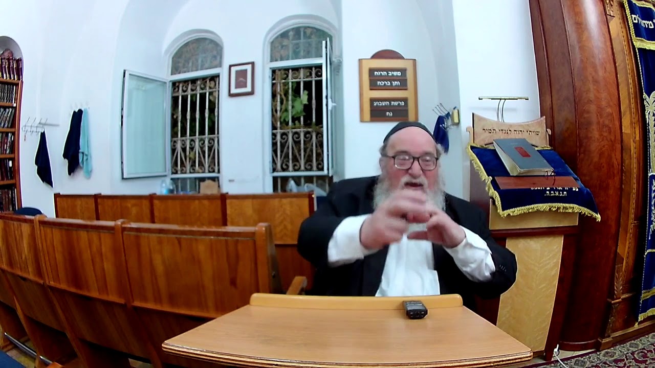 What is the meaning of Mar Cheshvan by Rabbi Yitzchak Breitowitz Parshat Noach