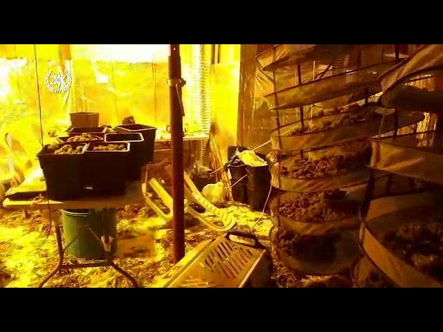 Major marijuana lab discovered in Jerusalem